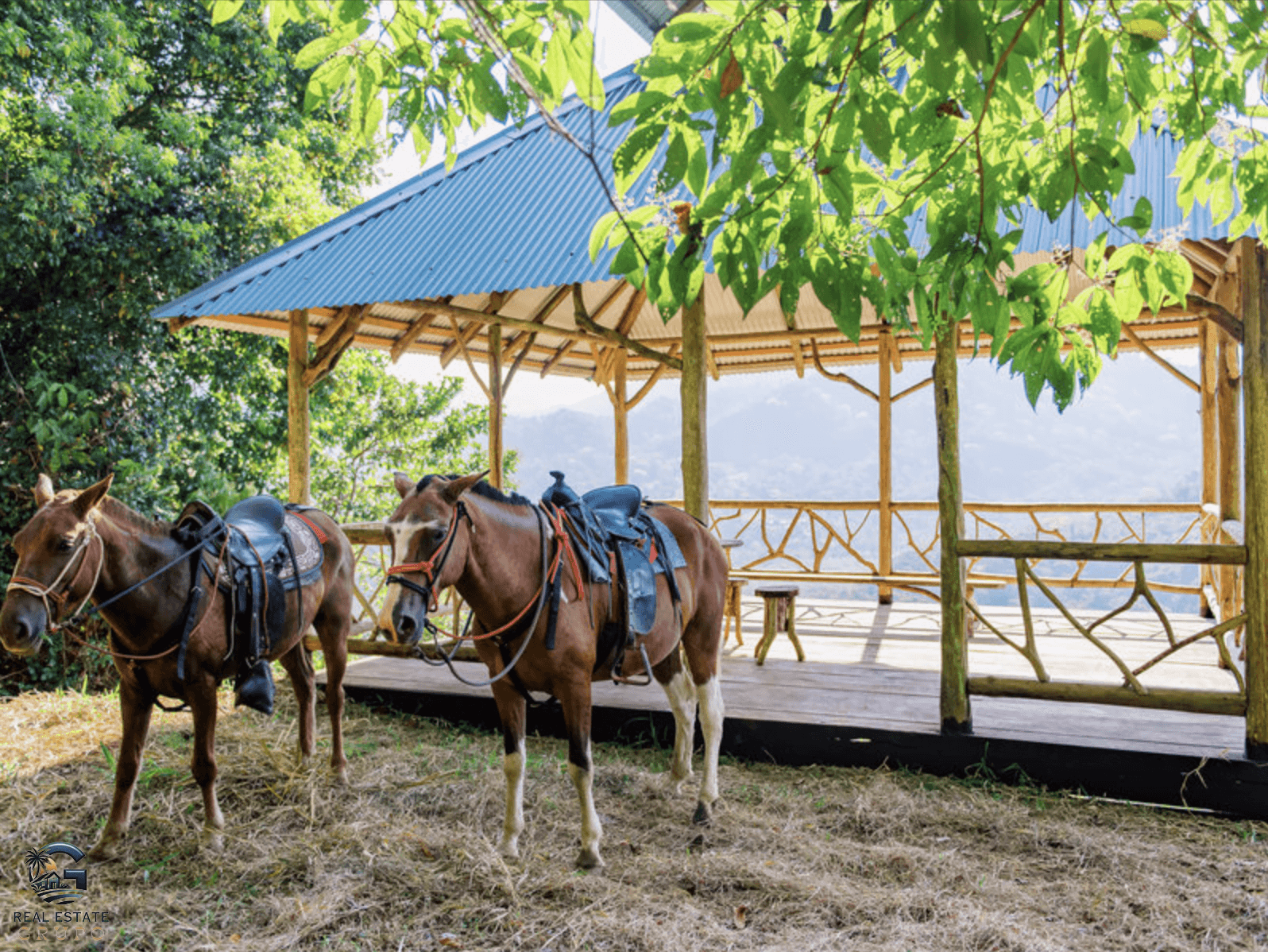 צילום מסך 2024-02-04 ב-17.34.10