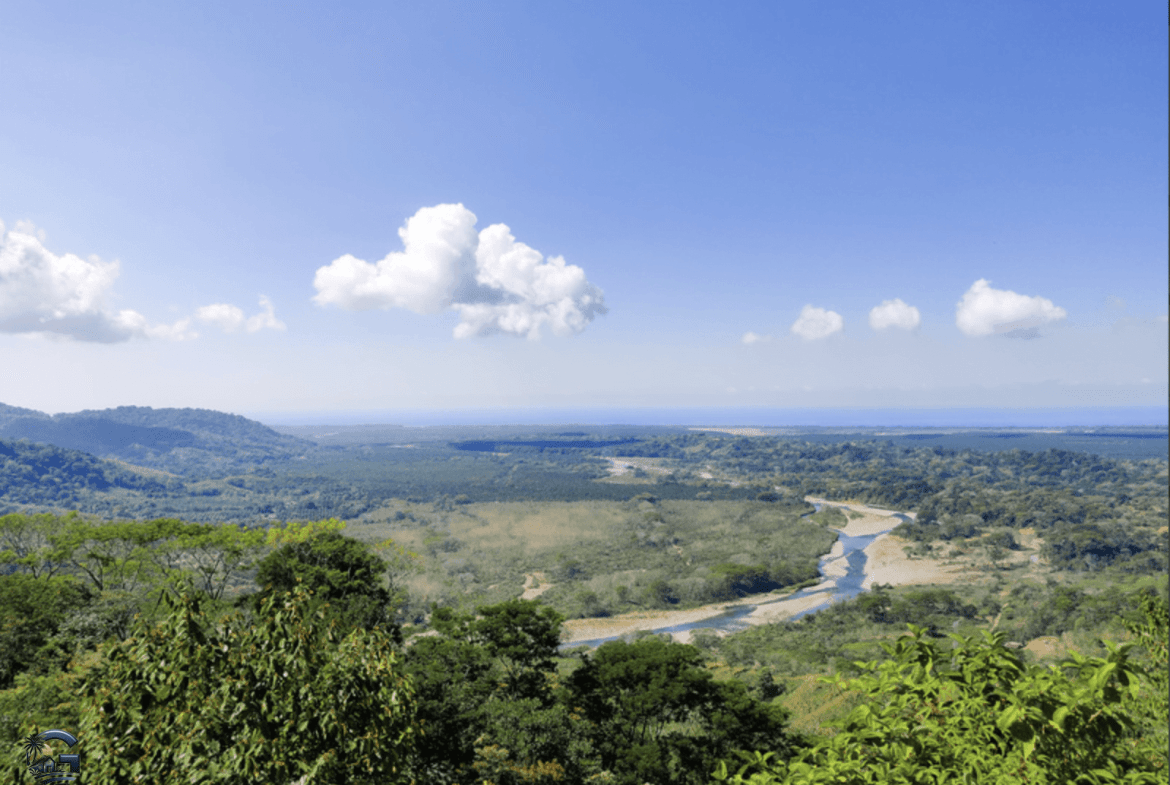 צילום מסך 2024-02-04 ב-17.34.15