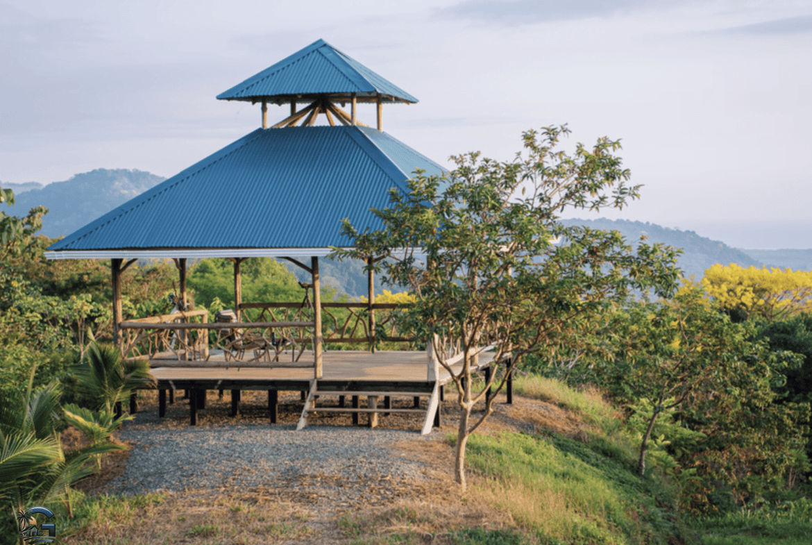 צילום מסך 2024-02-04 ב-17.34.22