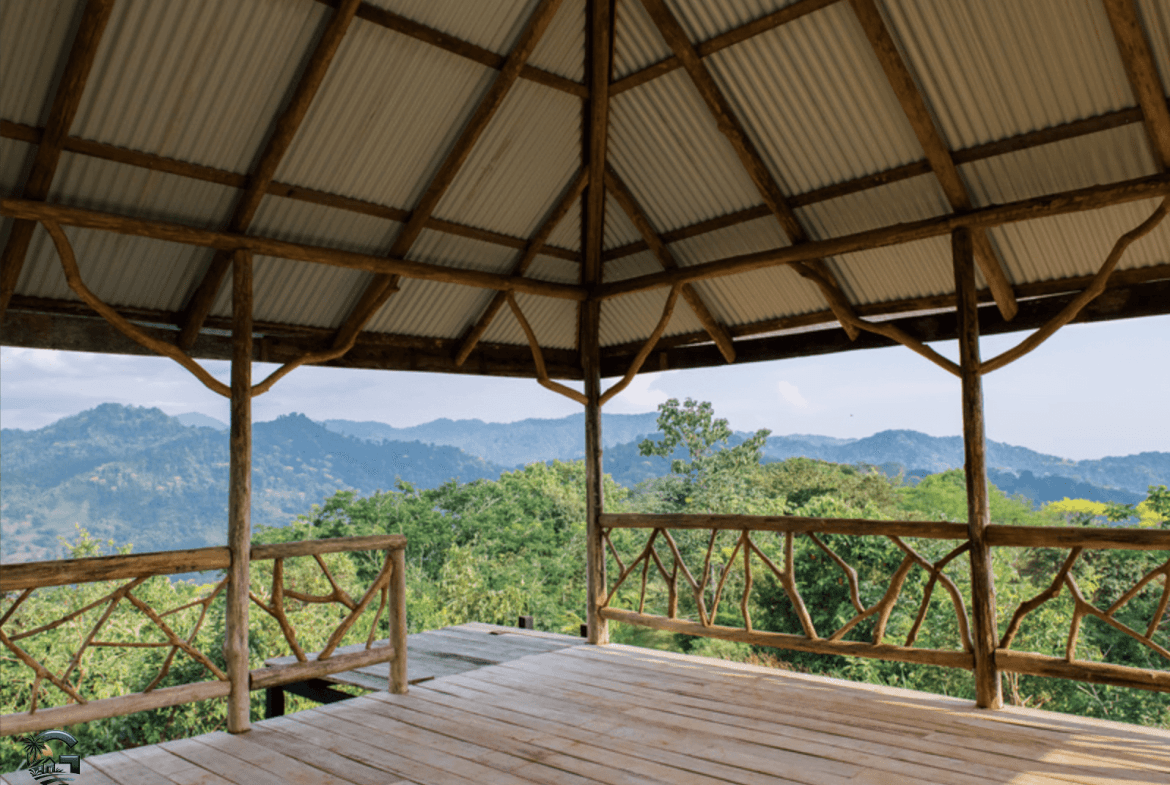 צילום מסך 2024-02-04 ב-17.34.26