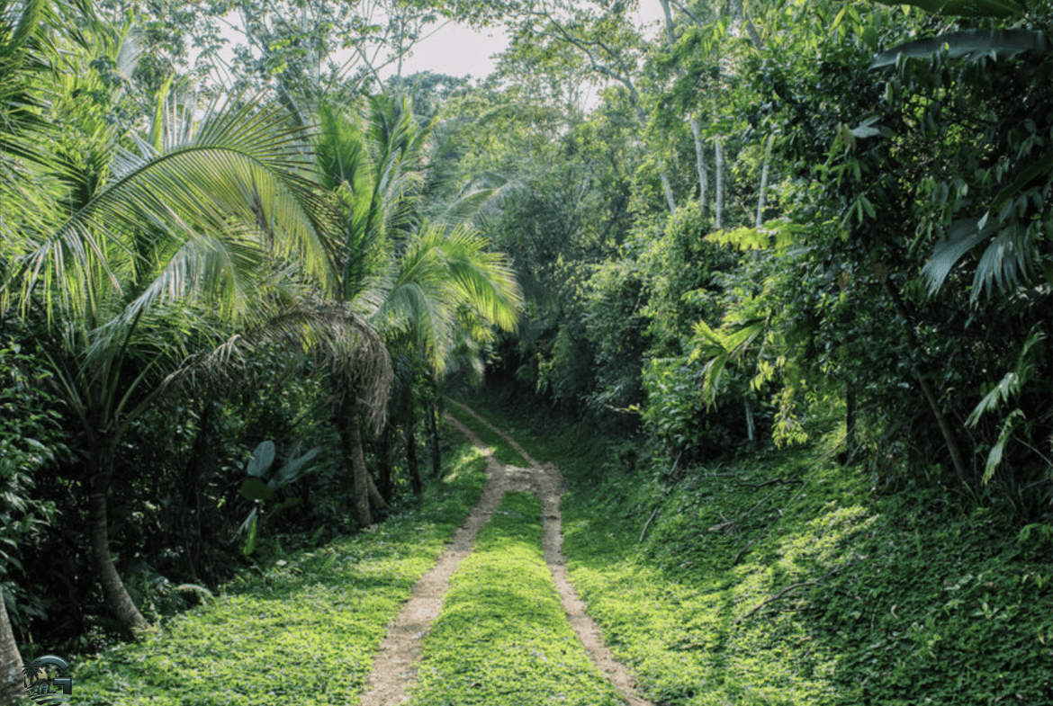 צילום מסך 2024-02-04 ב-17.34.36