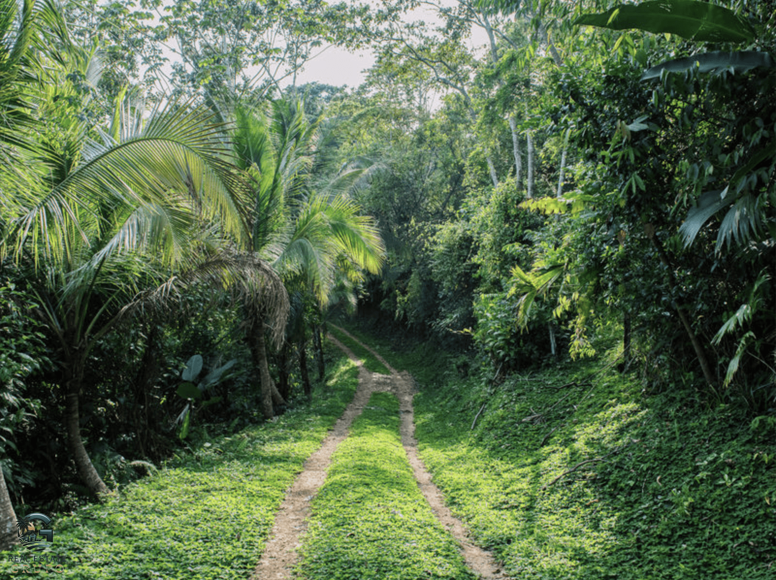 צילום מסך 2024-02-04 ב-17.34.36
