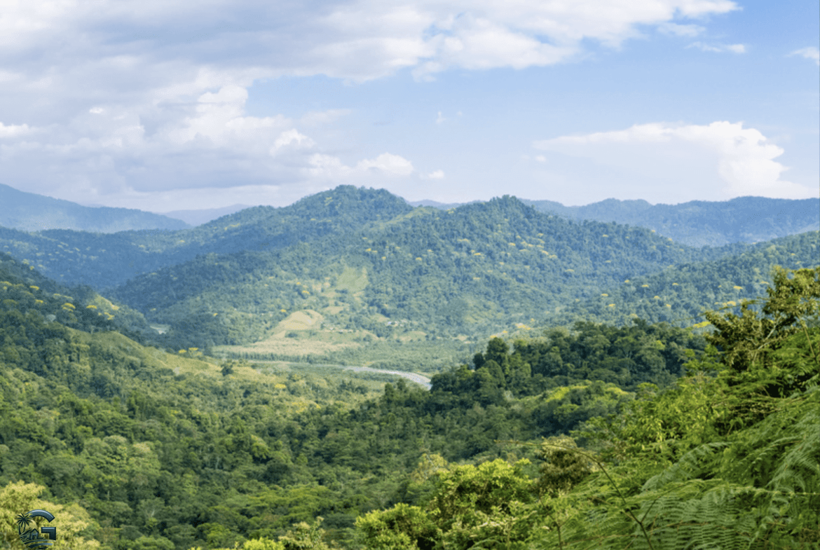 צילום מסך 2024-02-04 ב-17.34.41