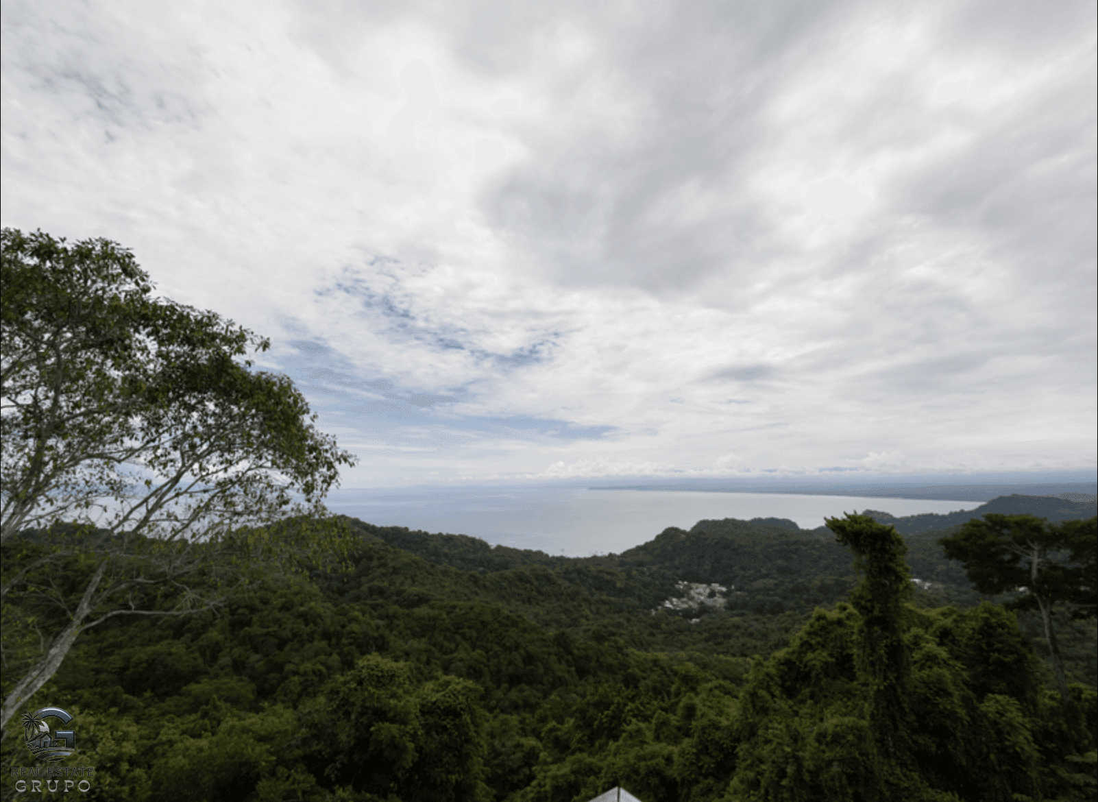 צילום מסך 2024-02-04 ב-7.24.22