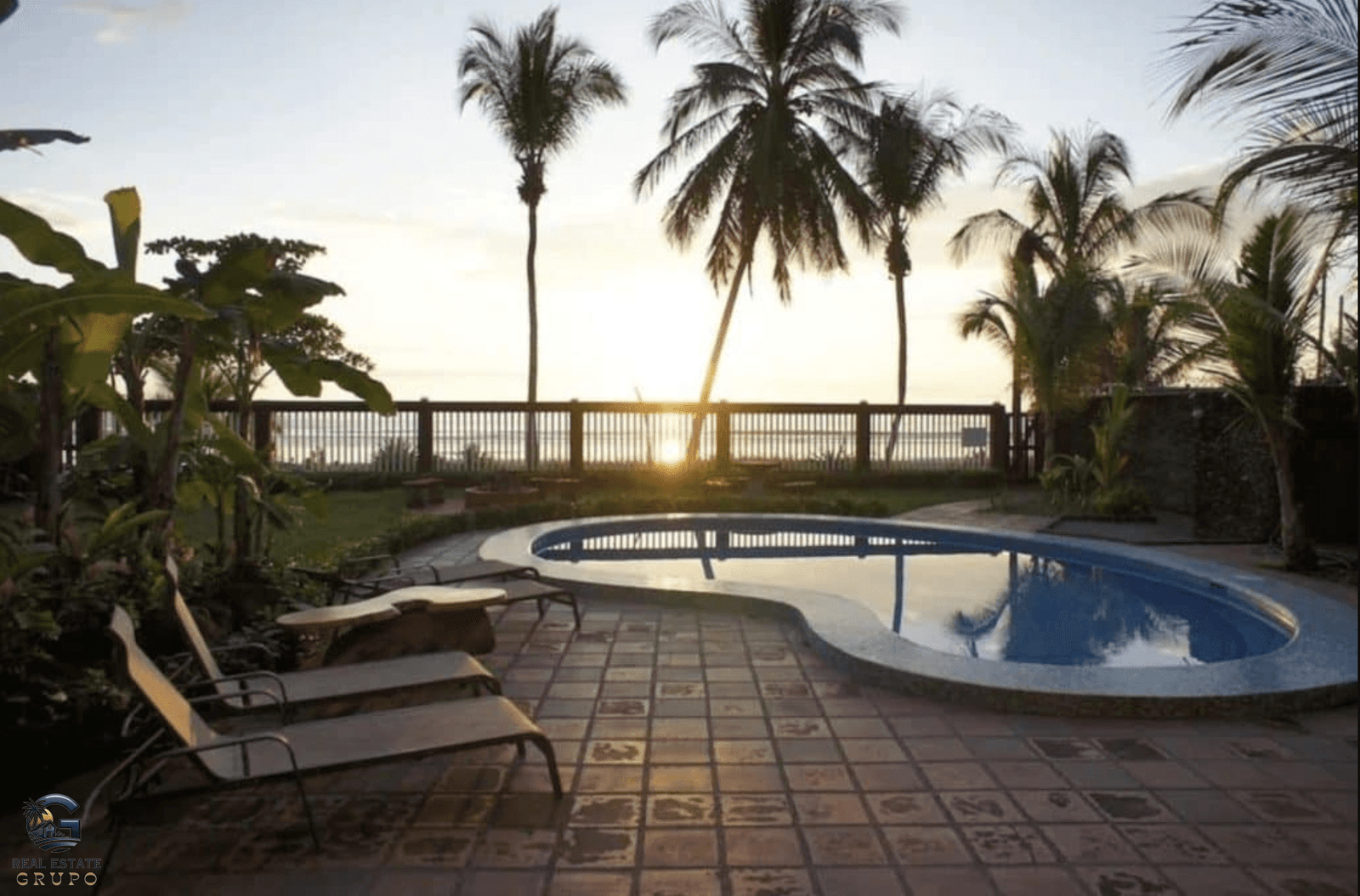 צילום מסך 2024-02-04 ב-8.38.38