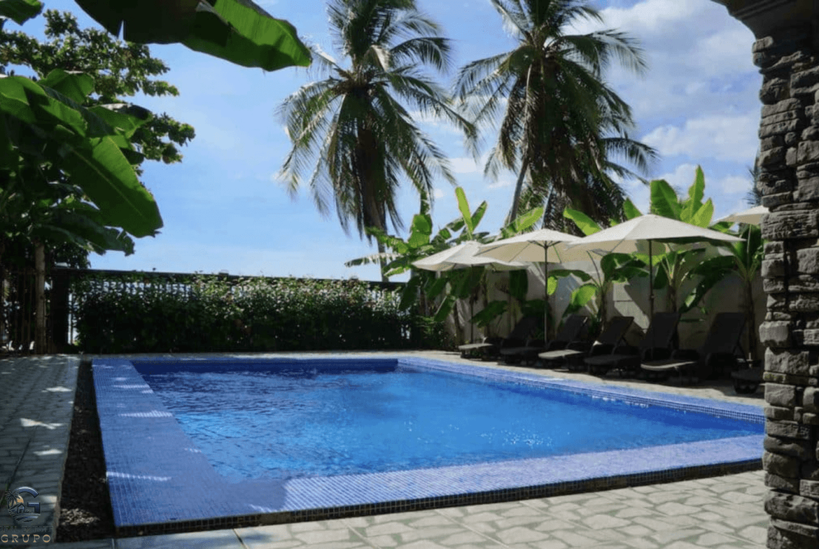 צילום מסך 2024-02-04 ב-8.39.25