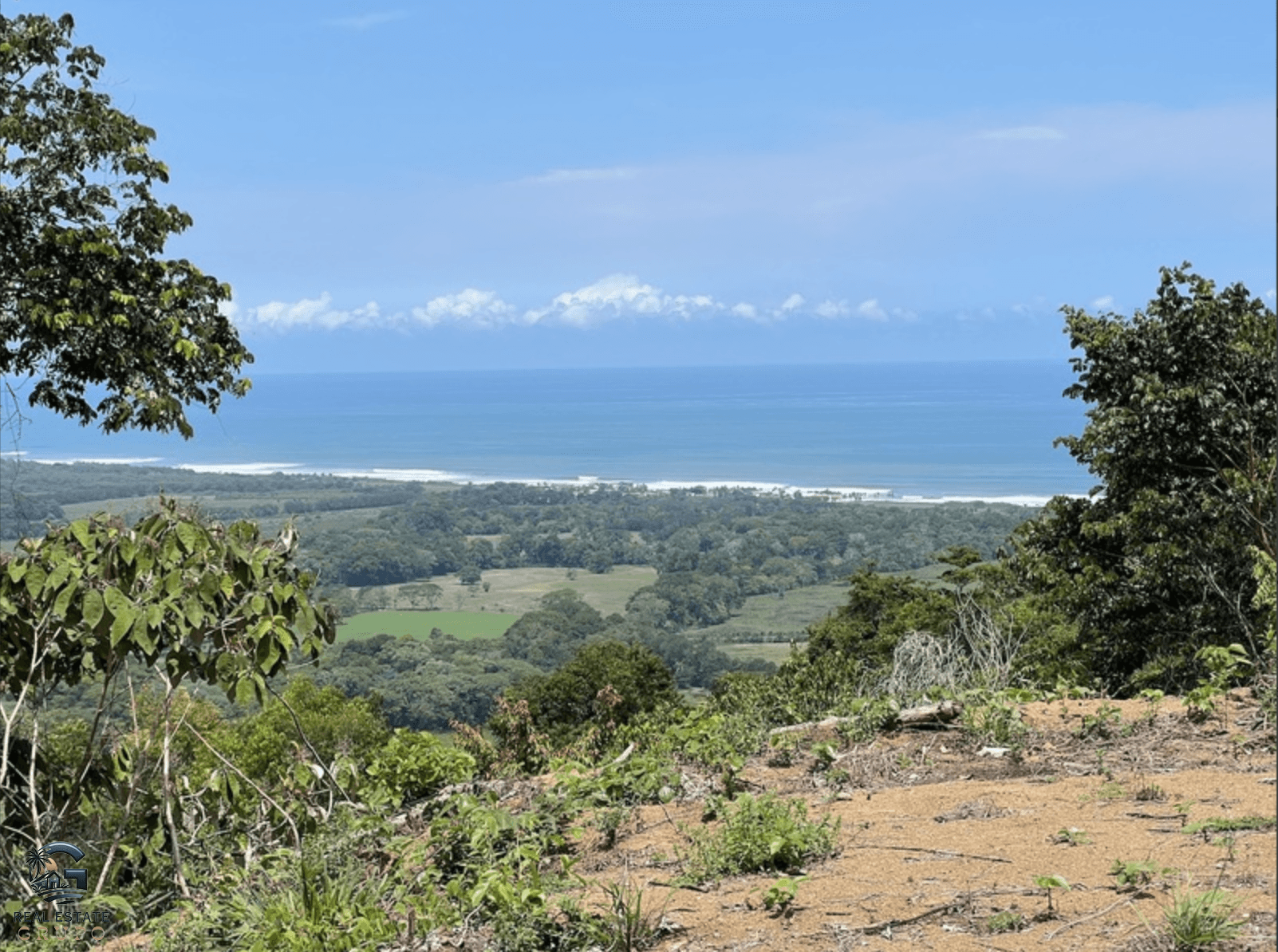 צילום מסך 2024-02-04 ב-9.23.51