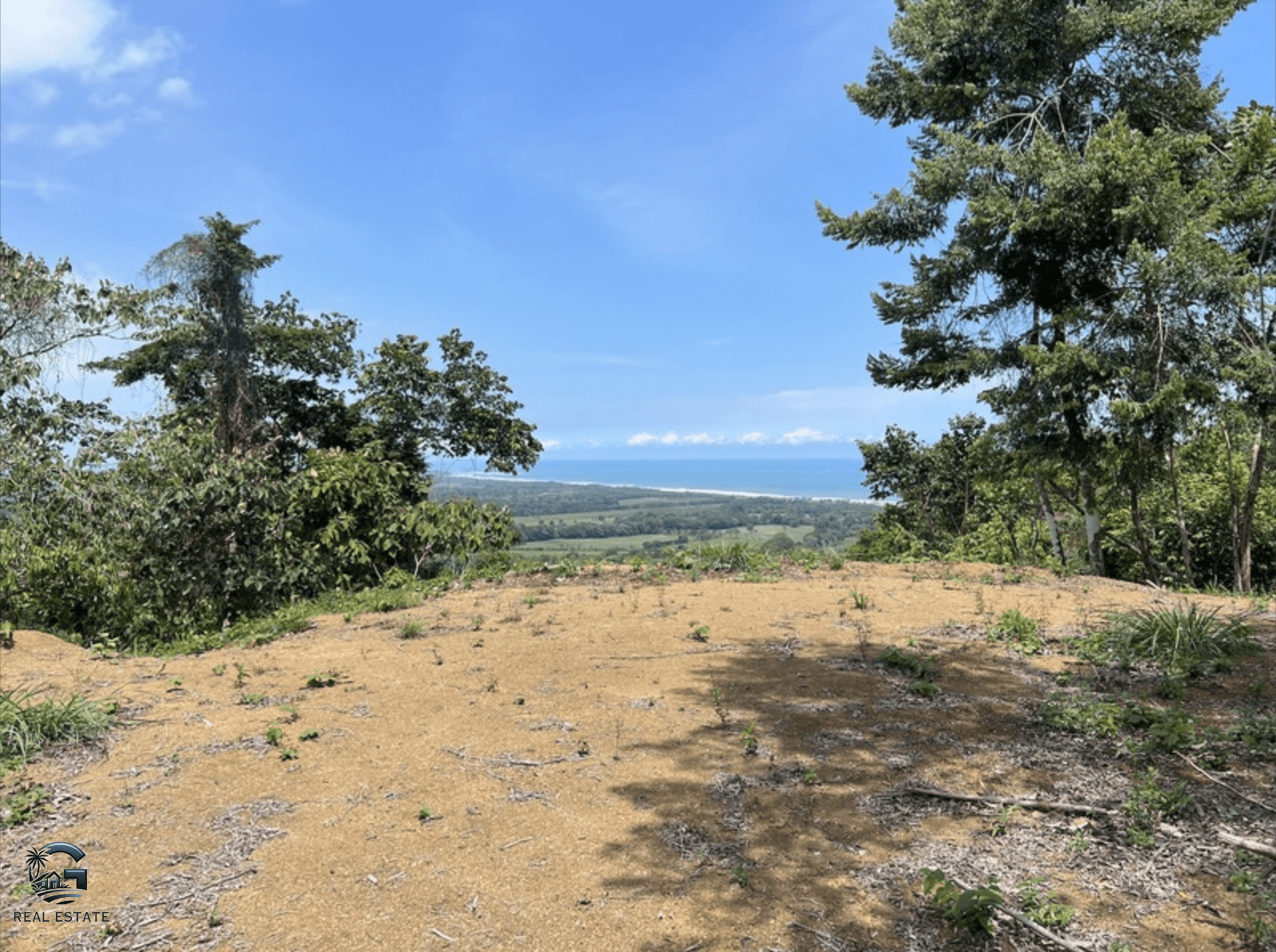 צילום מסך 2024-02-04 ב-9.23.57