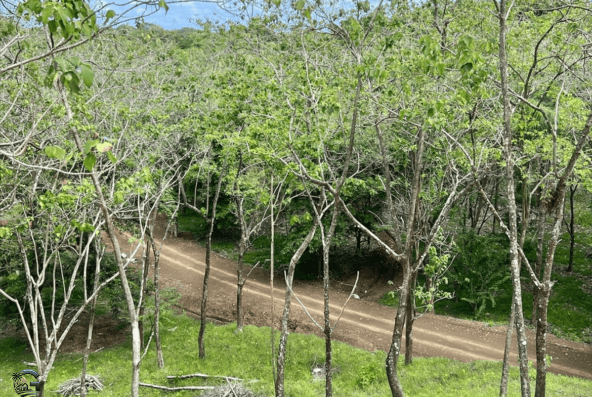 צילום מסך 2024-02-04 ב-9.24.20