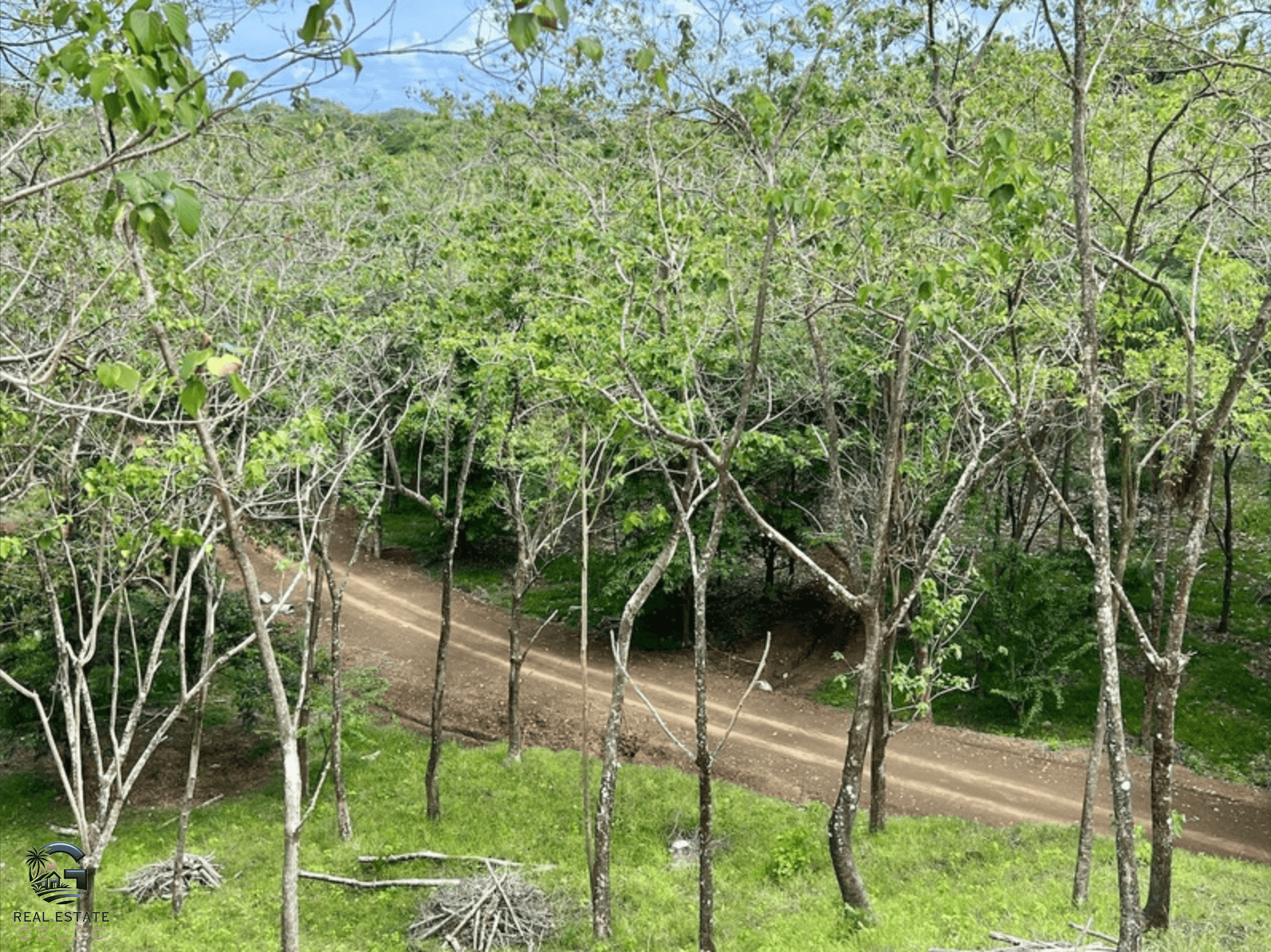 צילום מסך 2024-02-04 ב-9.24.20