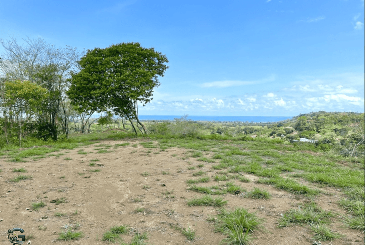צילום מסך 2024-02-04 ב-9.24.25