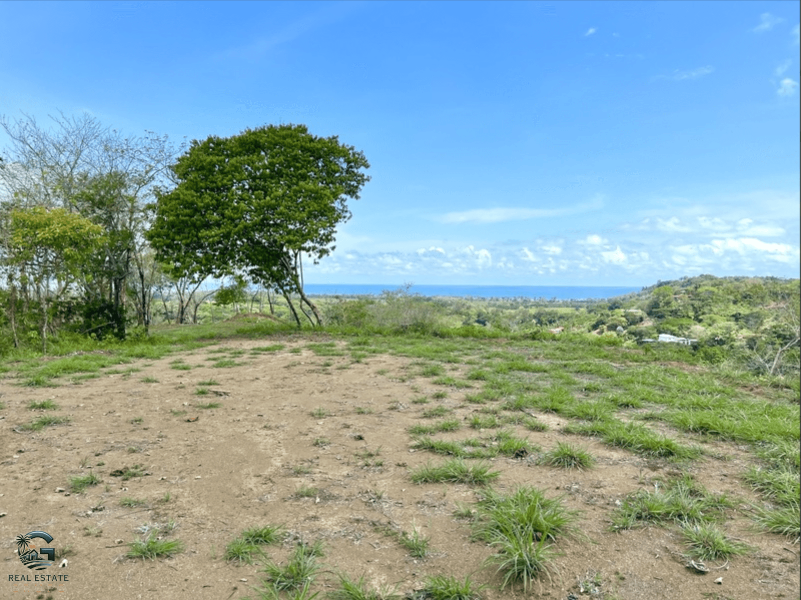 צילום מסך 2024-02-04 ב-9.24.25