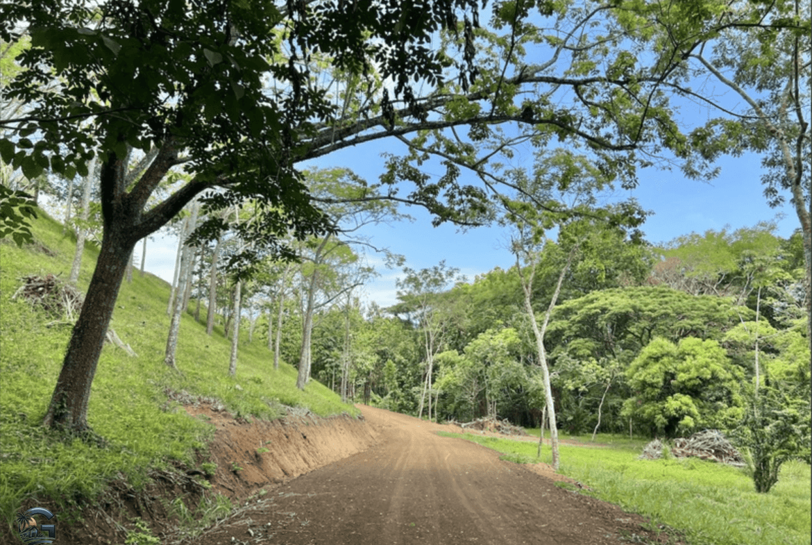 צילום מסך 2024-02-04 ב-9.24.30