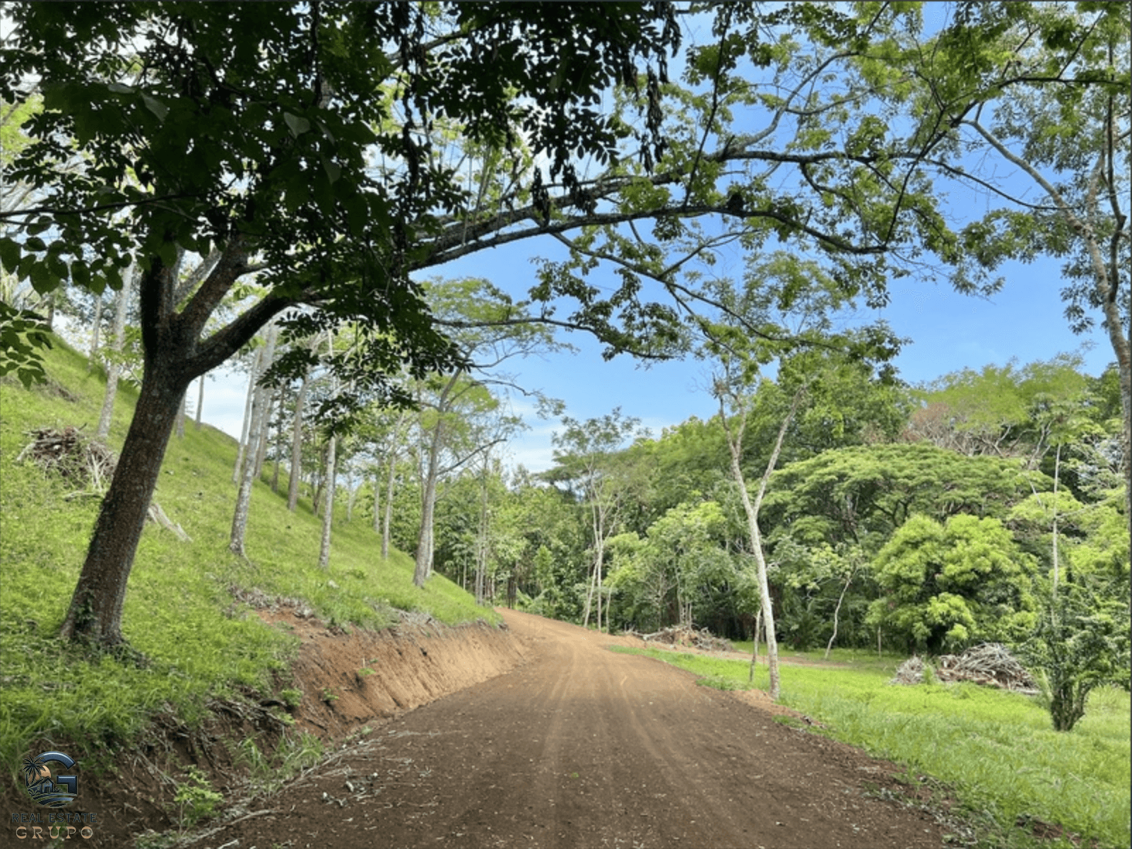 צילום מסך 2024-02-04 ב-9.24.30