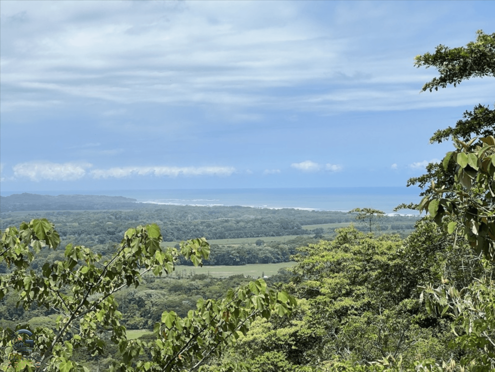 צילום מסך 2024-02-04 ב-9.24.35