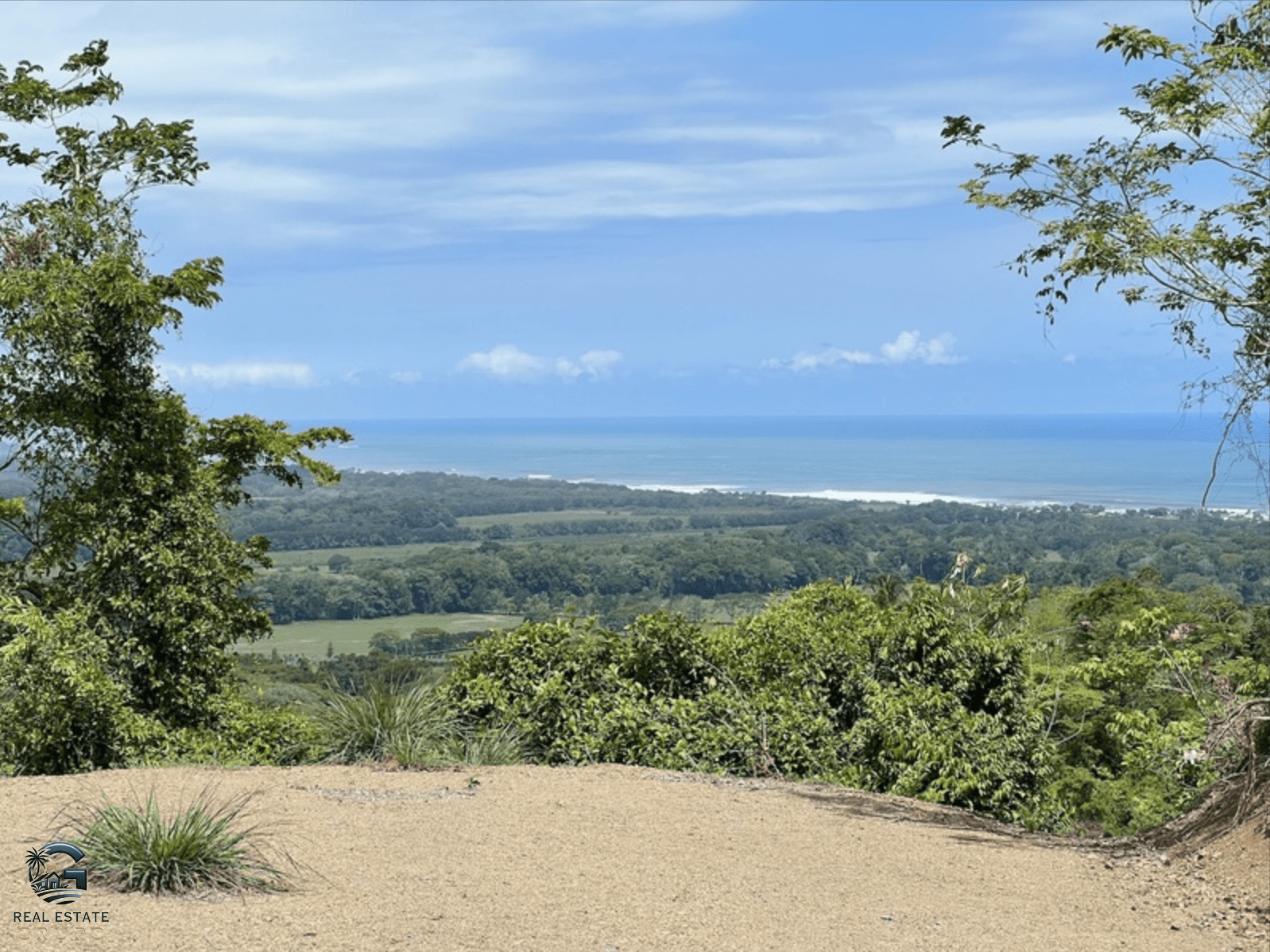 צילום מסך 2024-02-04 ב-9.24.40