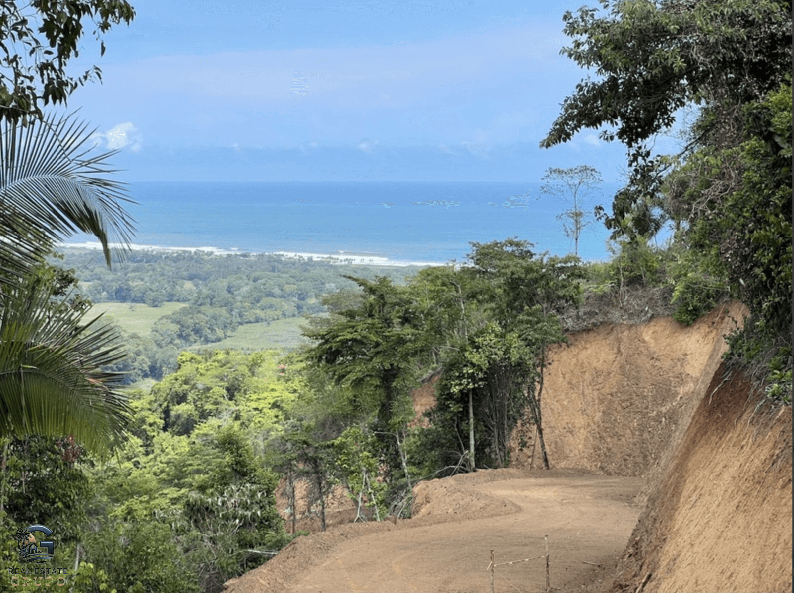 צילום מסך 2024-02-04 ב-9.24.49