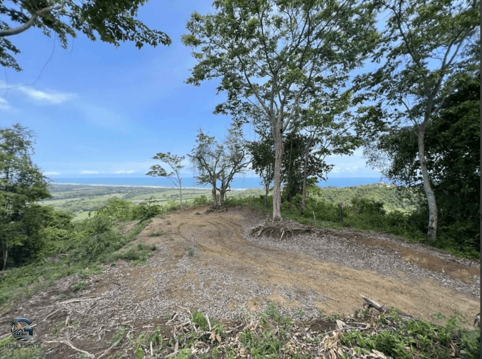 צילום מסך 2024-02-04 ב-9.24.54