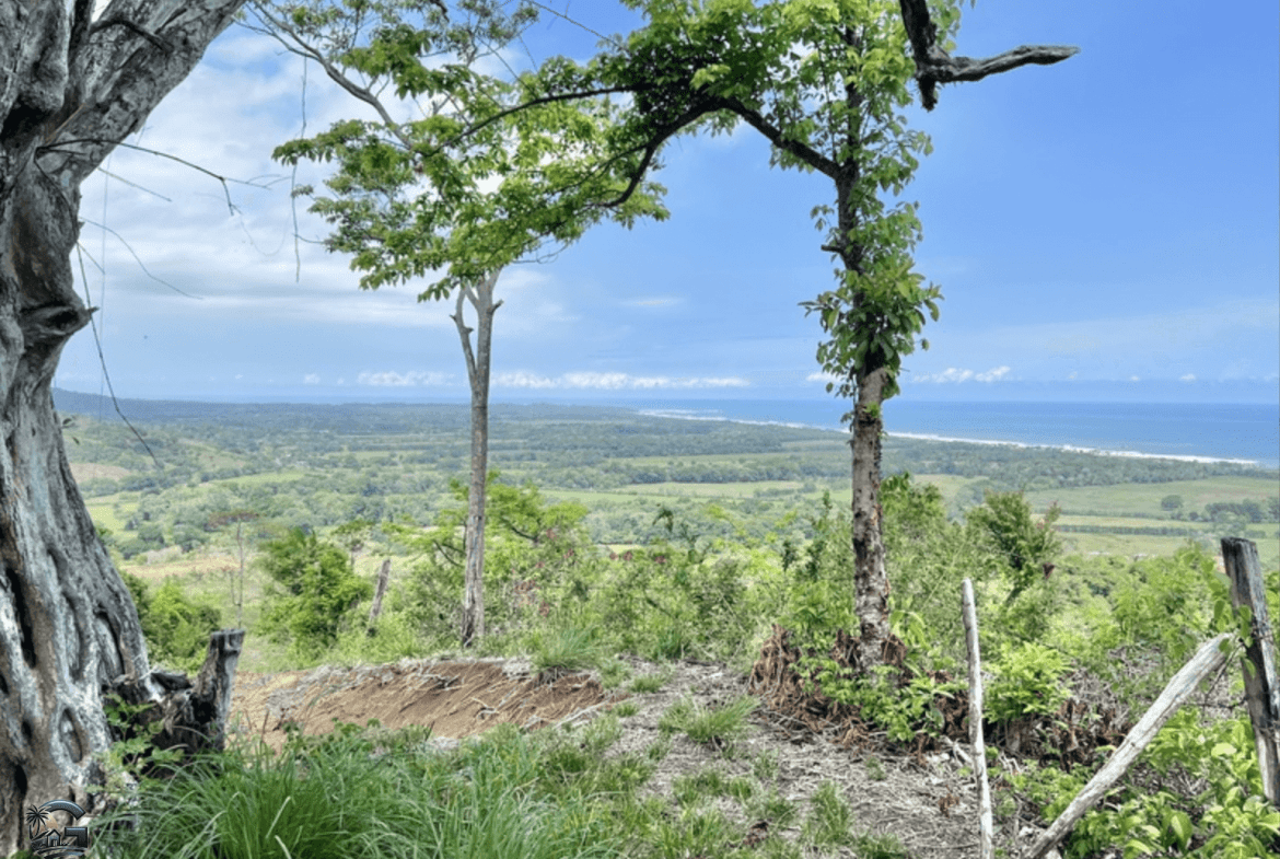 צילום מסך 2024-02-04 ב-9.24.58