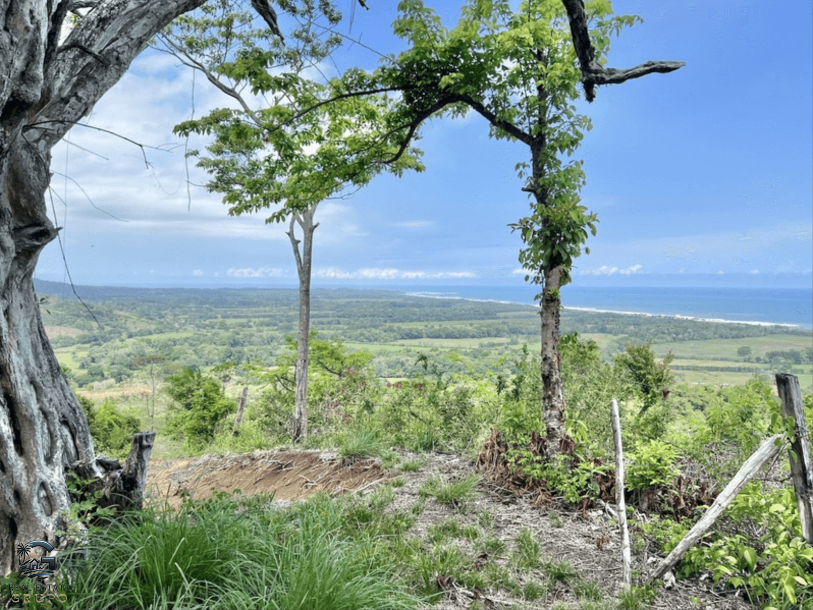 צילום מסך 2024-02-04 ב-9.24.58