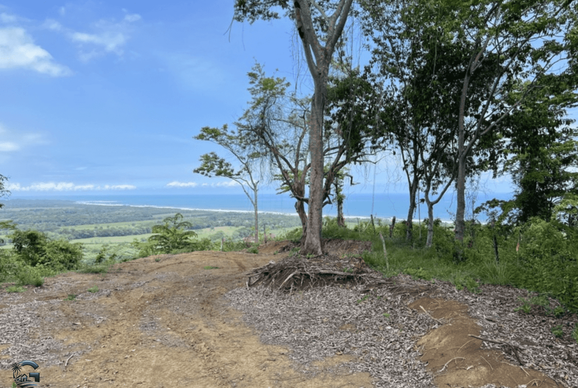 צילום מסך 2024-02-04 ב-9.25.03