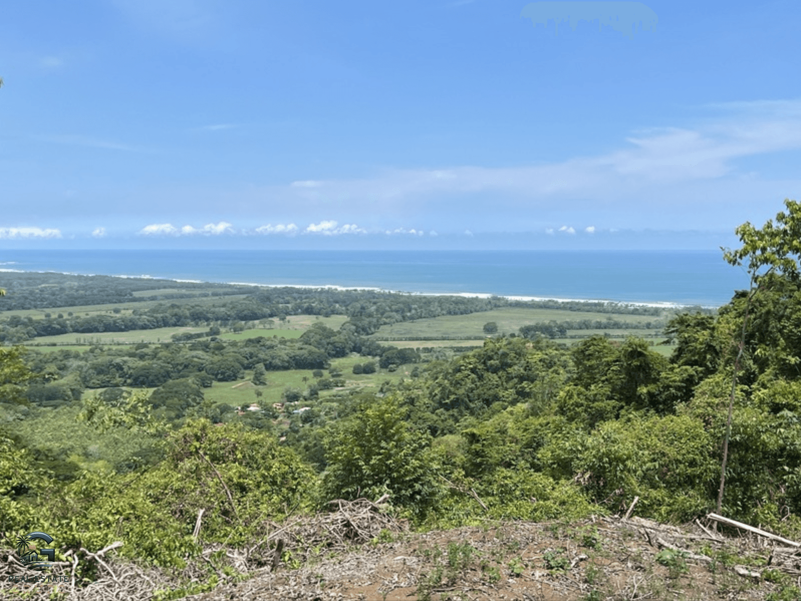 צילום מסך 2024-02-04 ב-9.25.07
