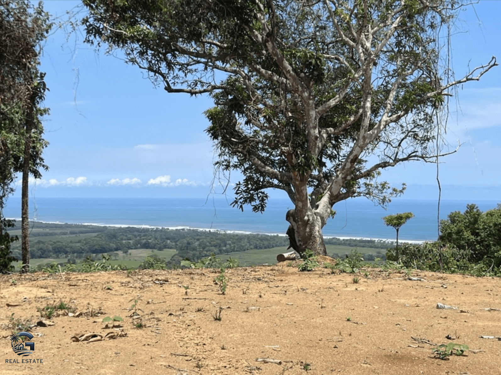 צילום מסך 2024-02-04 ב-9.25.12