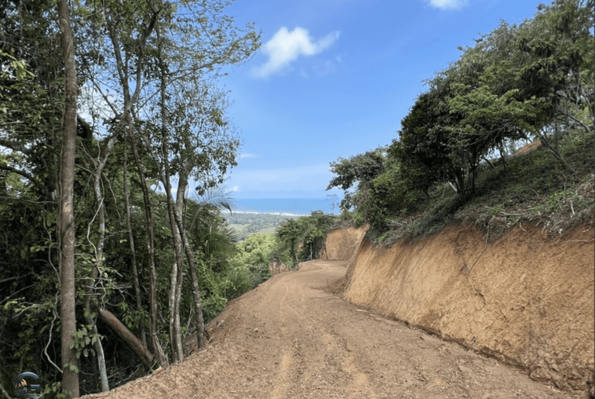 צילום מסך 2024-02-04 ב-9.25.17