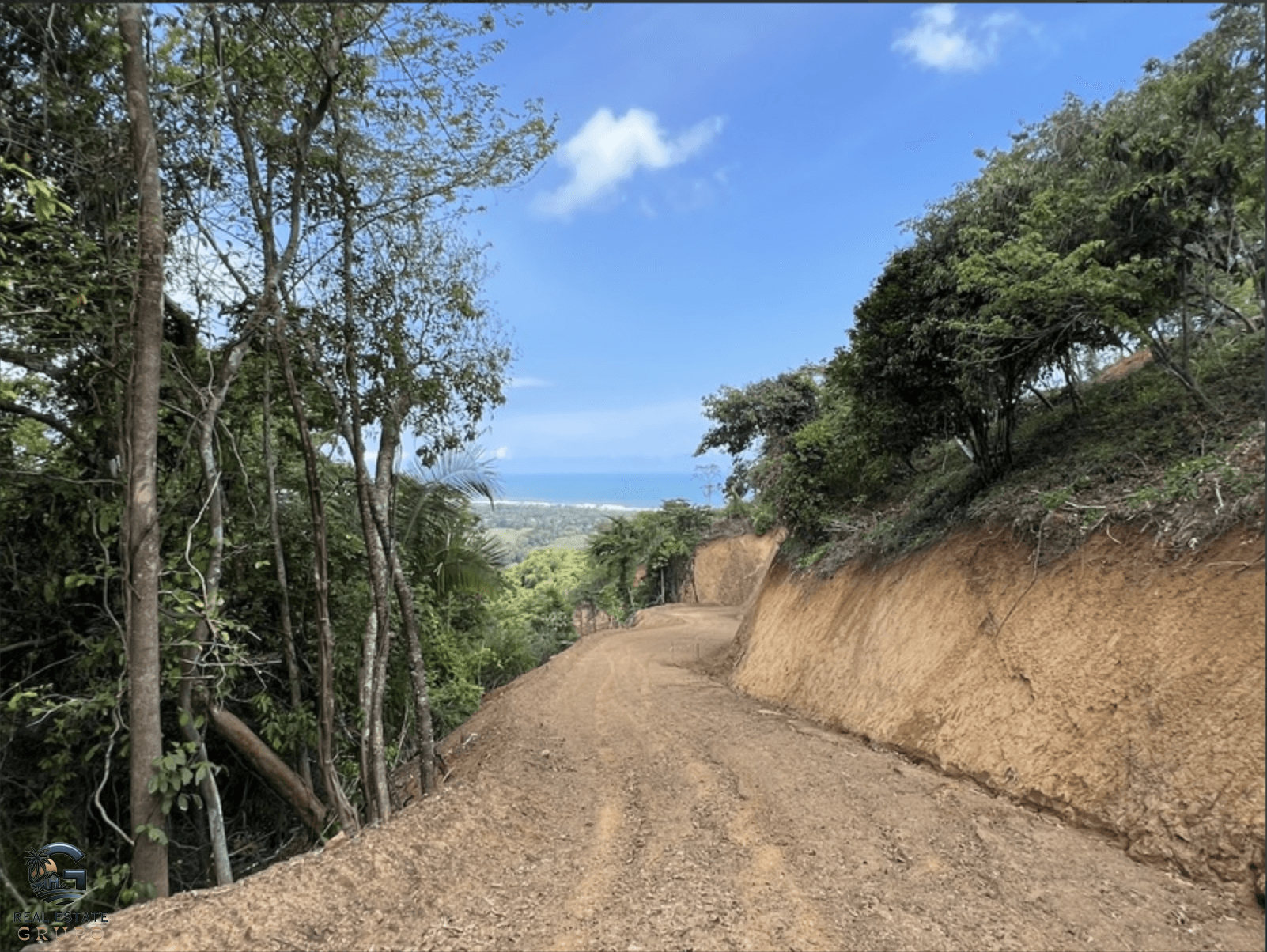 צילום מסך 2024-02-04 ב-9.25.17