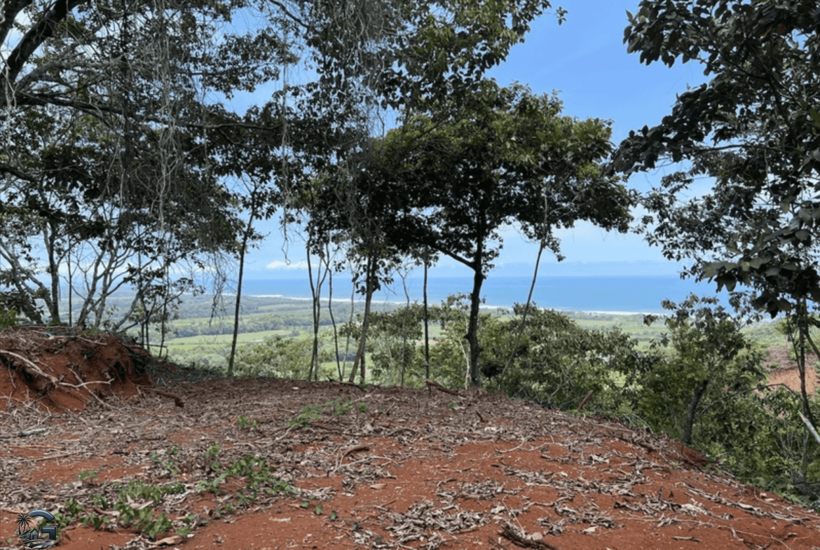 צילום מסך 2024-02-04 ב-9.25.21