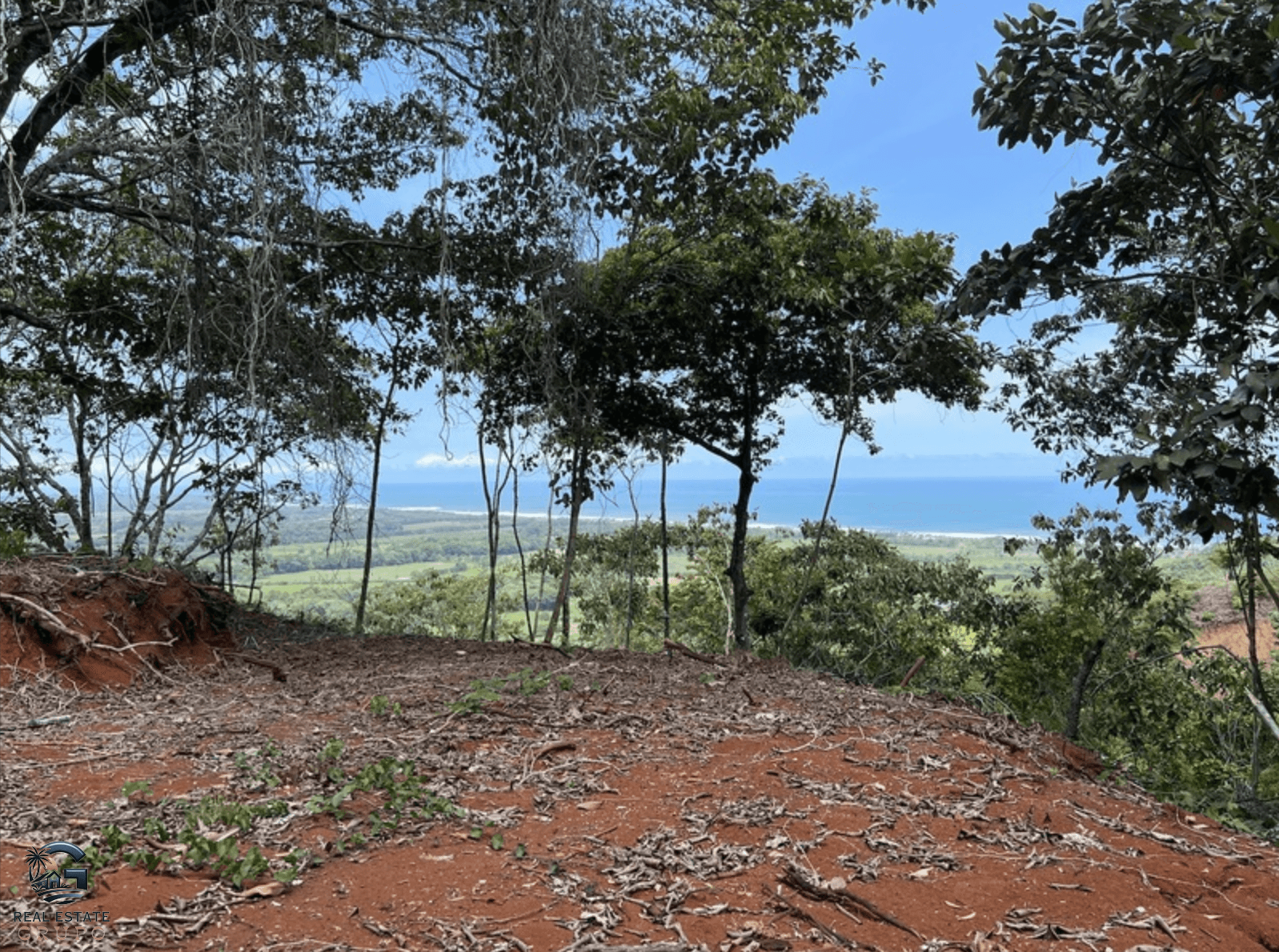 צילום מסך 2024-02-04 ב-9.25.21