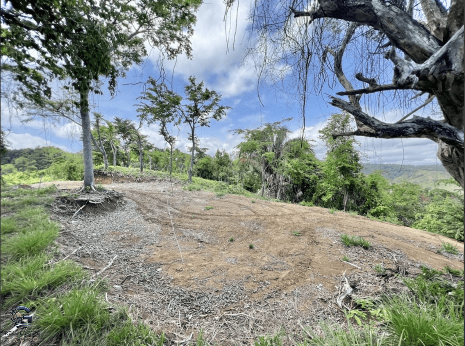 צילום מסך 2024-02-04 ב-9.25.26