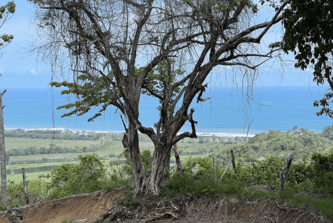 צילום מסך 2024-02-04 ב-9.25.36