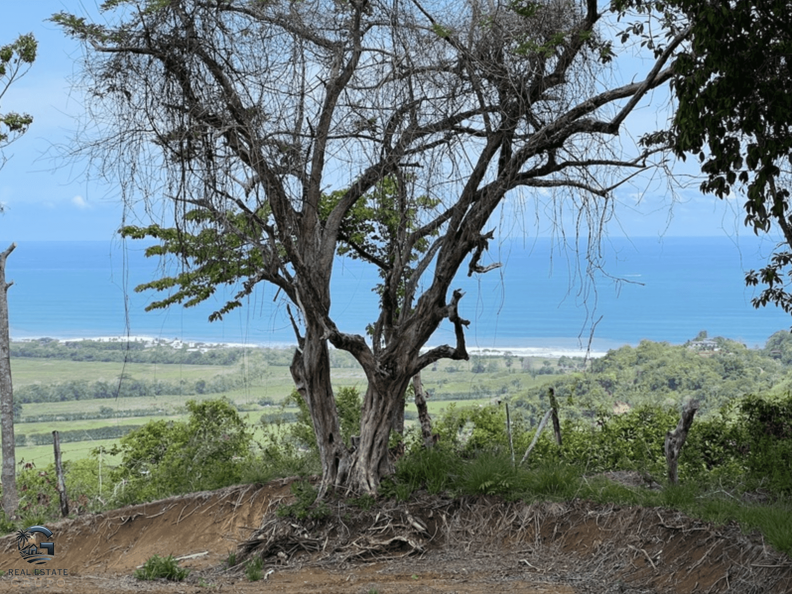 צילום מסך 2024-02-04 ב-9.25.36