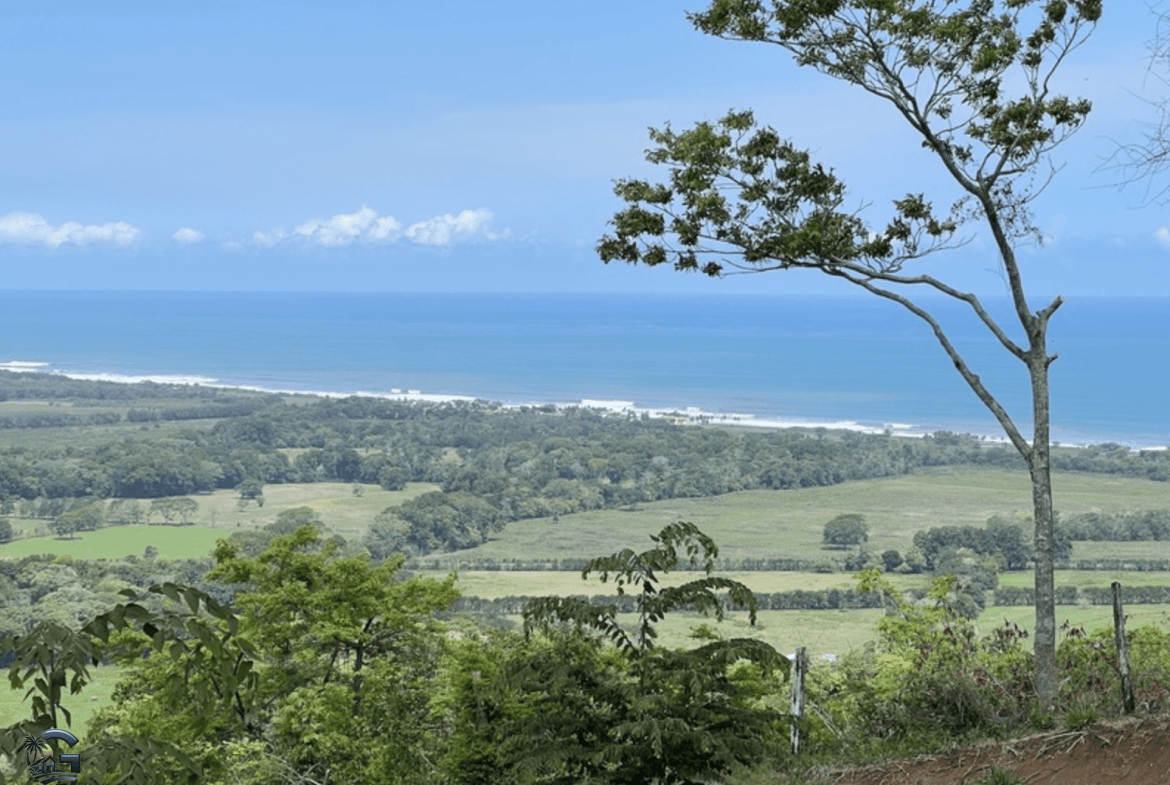 צילום מסך 2024-02-04 ב-9.25.43