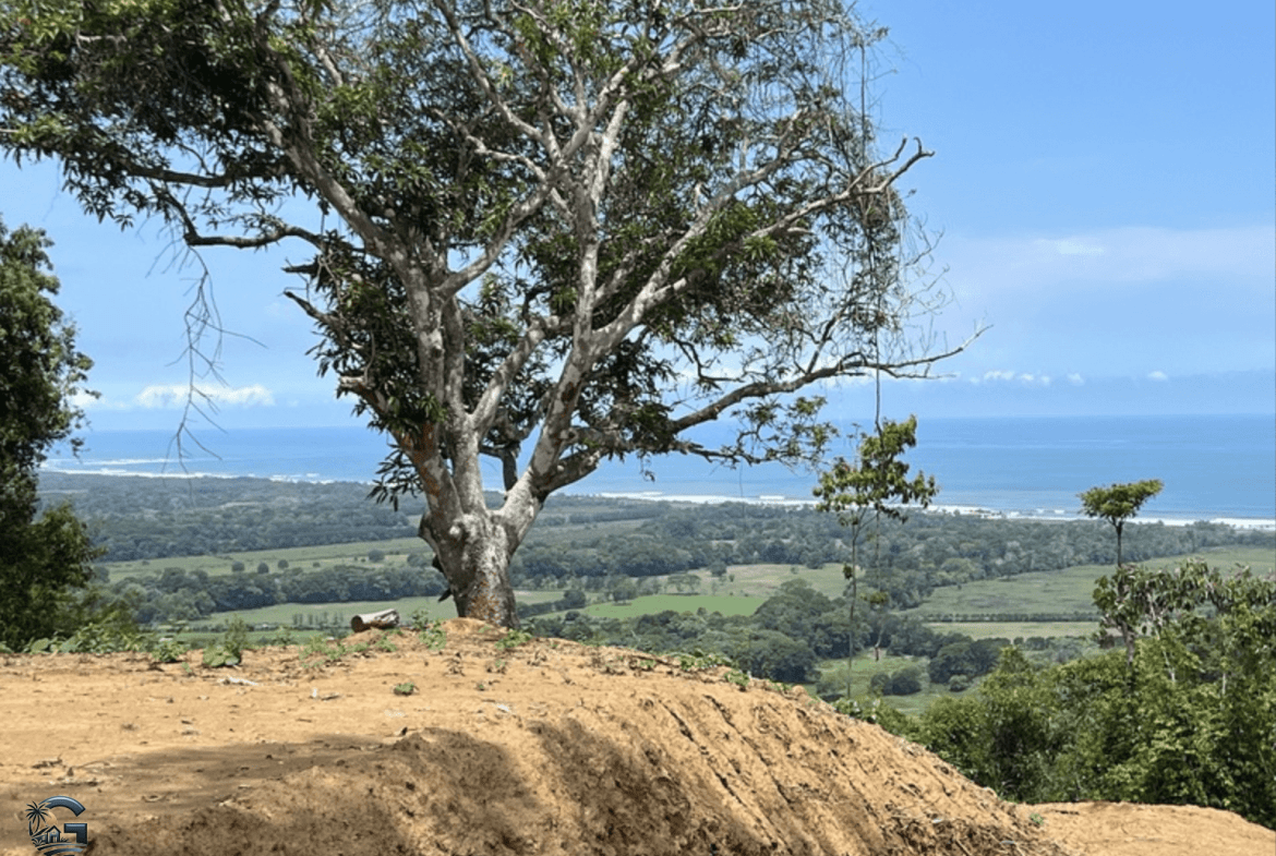צילום מסך 2024-02-04 ב-9.25.53