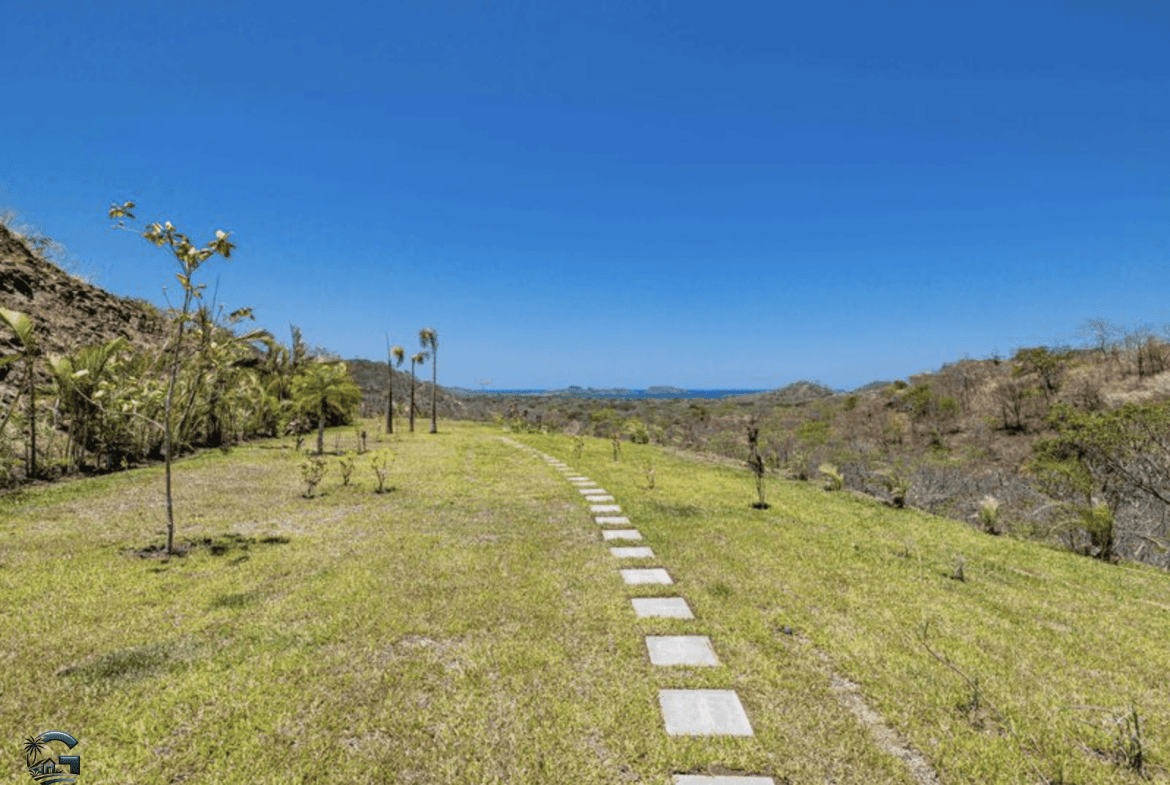 צילום מסך 2024-02-05 ב-14.41.40