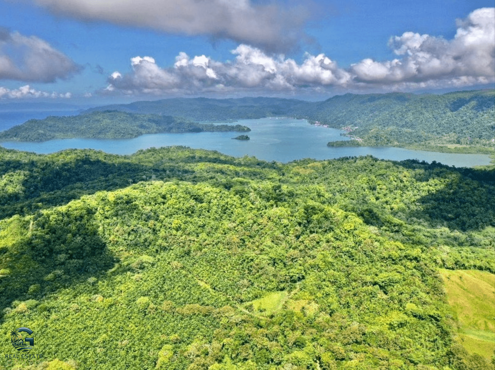 צילום מסך 2024-02-05 ב-15.09.52