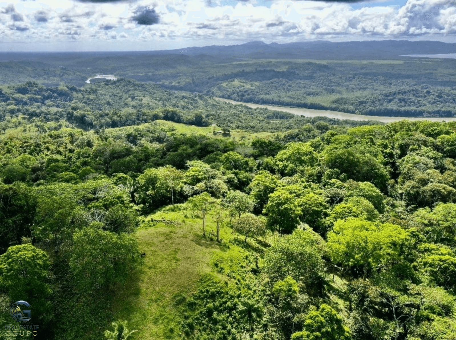 צילום מסך 2024-02-05 ב-15.09.56