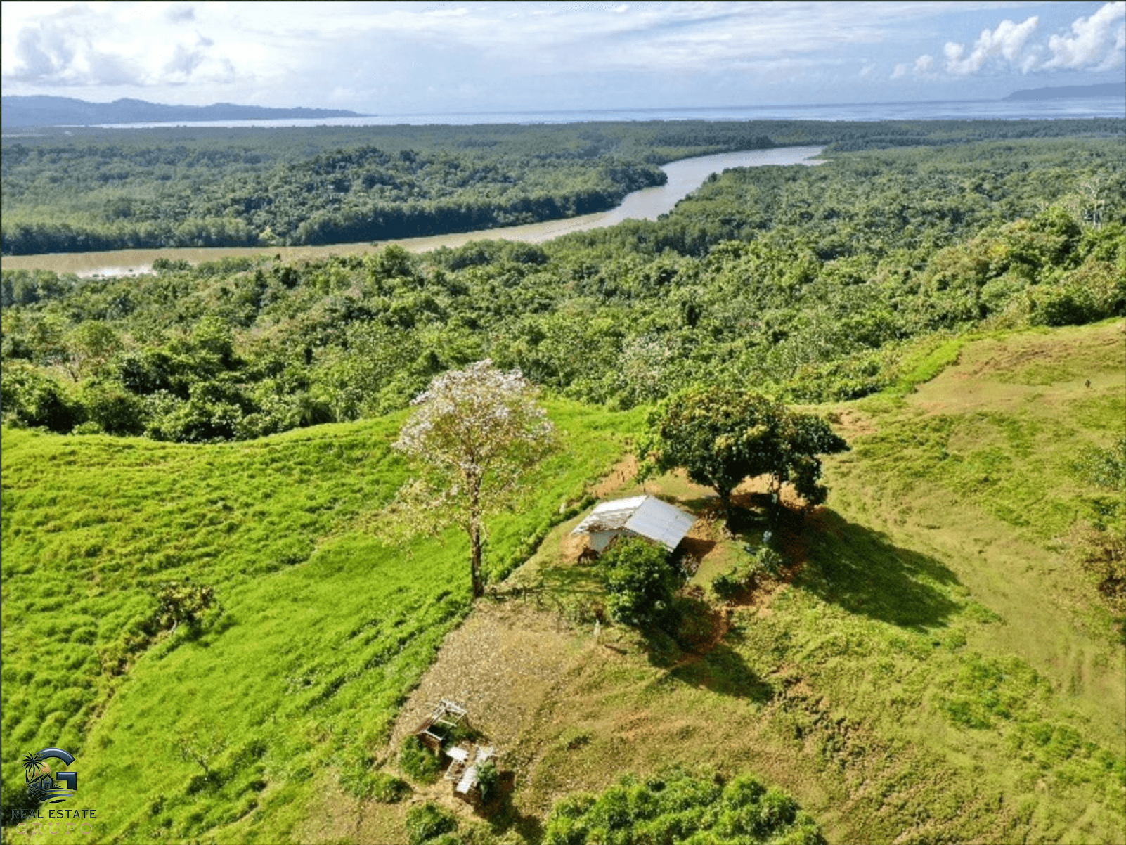 צילום מסך 2024-02-05 ב-15.10.00
