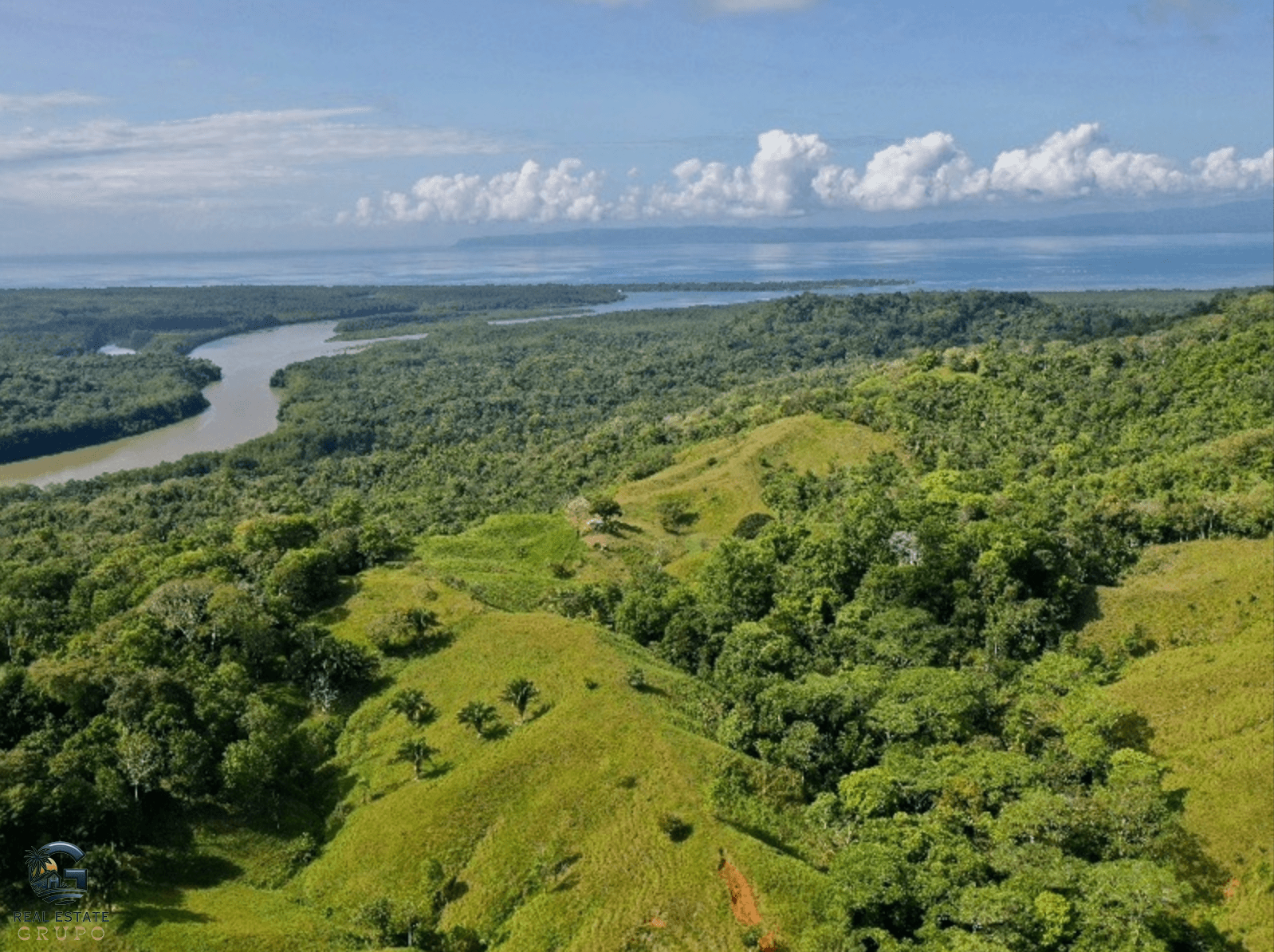 צילום מסך 2024-02-05 ב-15.10.07