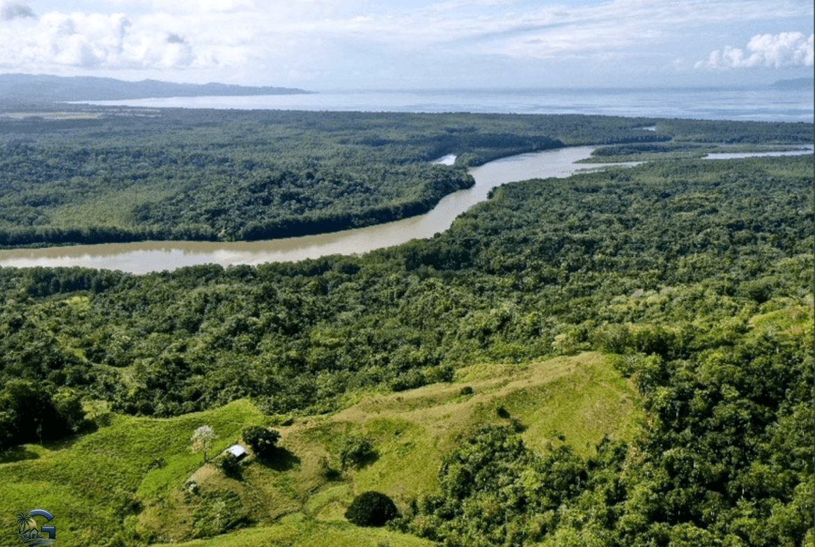 צילום מסך 2024-02-05 ב-15.10.12