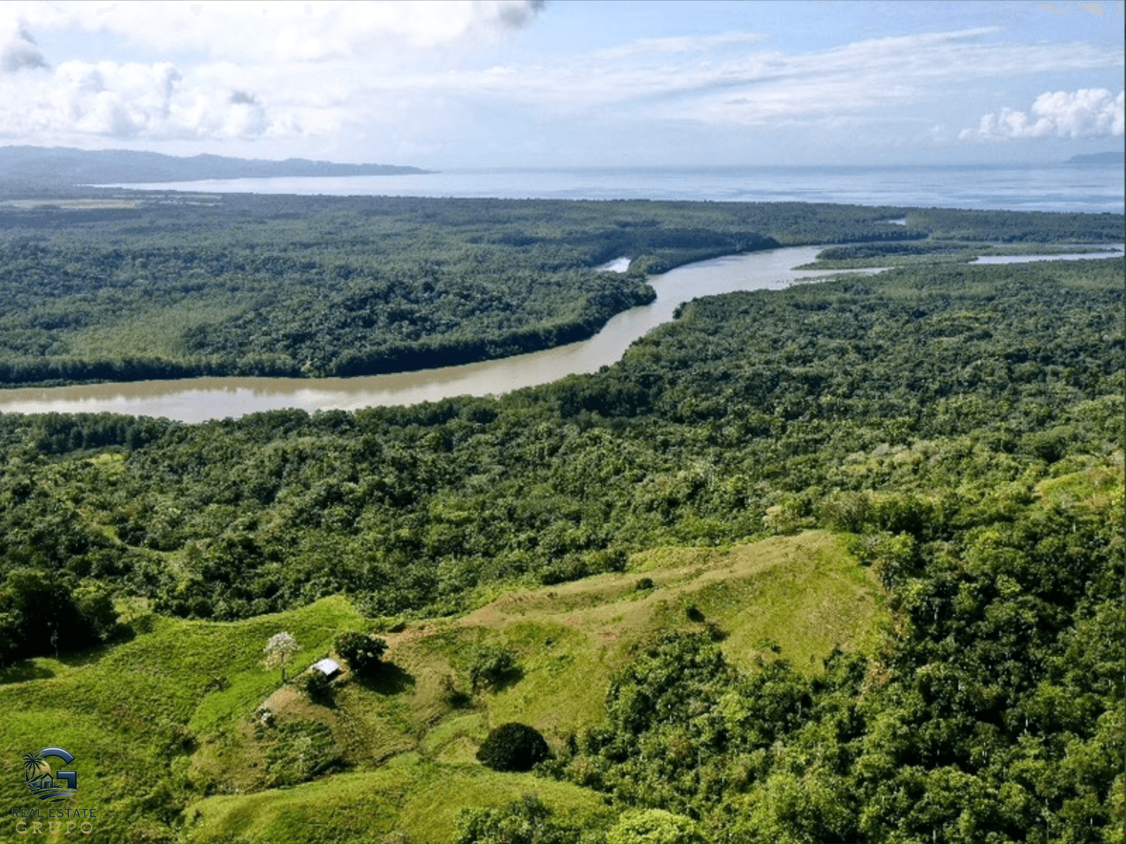 צילום מסך 2024-02-05 ב-15.10.12