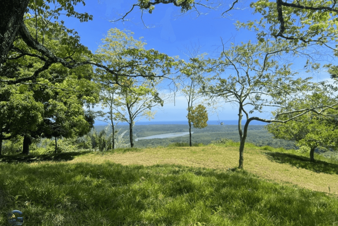 צילום מסך 2024-02-05 ב-15.10.17