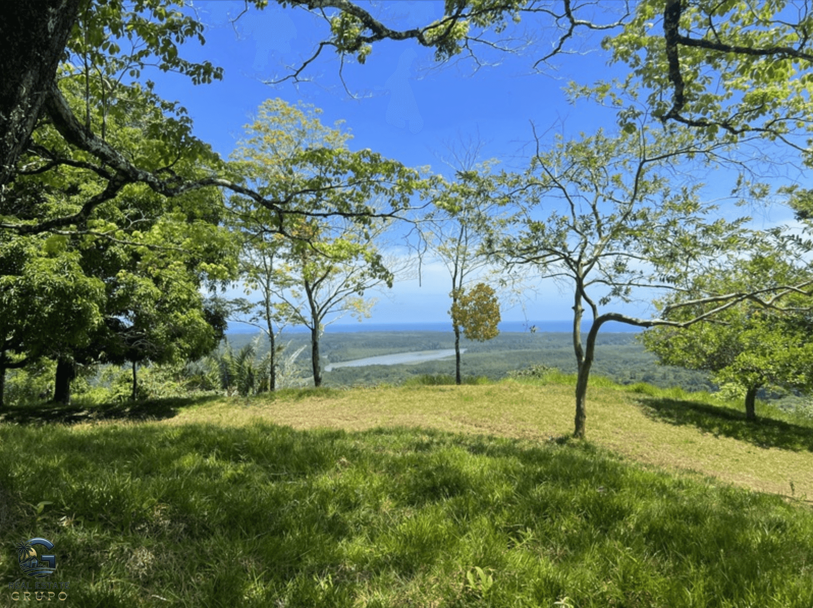 צילום מסך 2024-02-05 ב-15.10.17