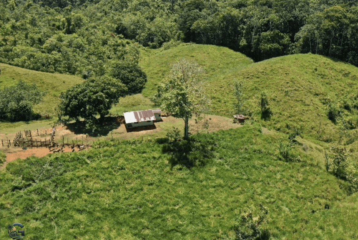 צילום מסך 2024-02-05 ב-15.10.31