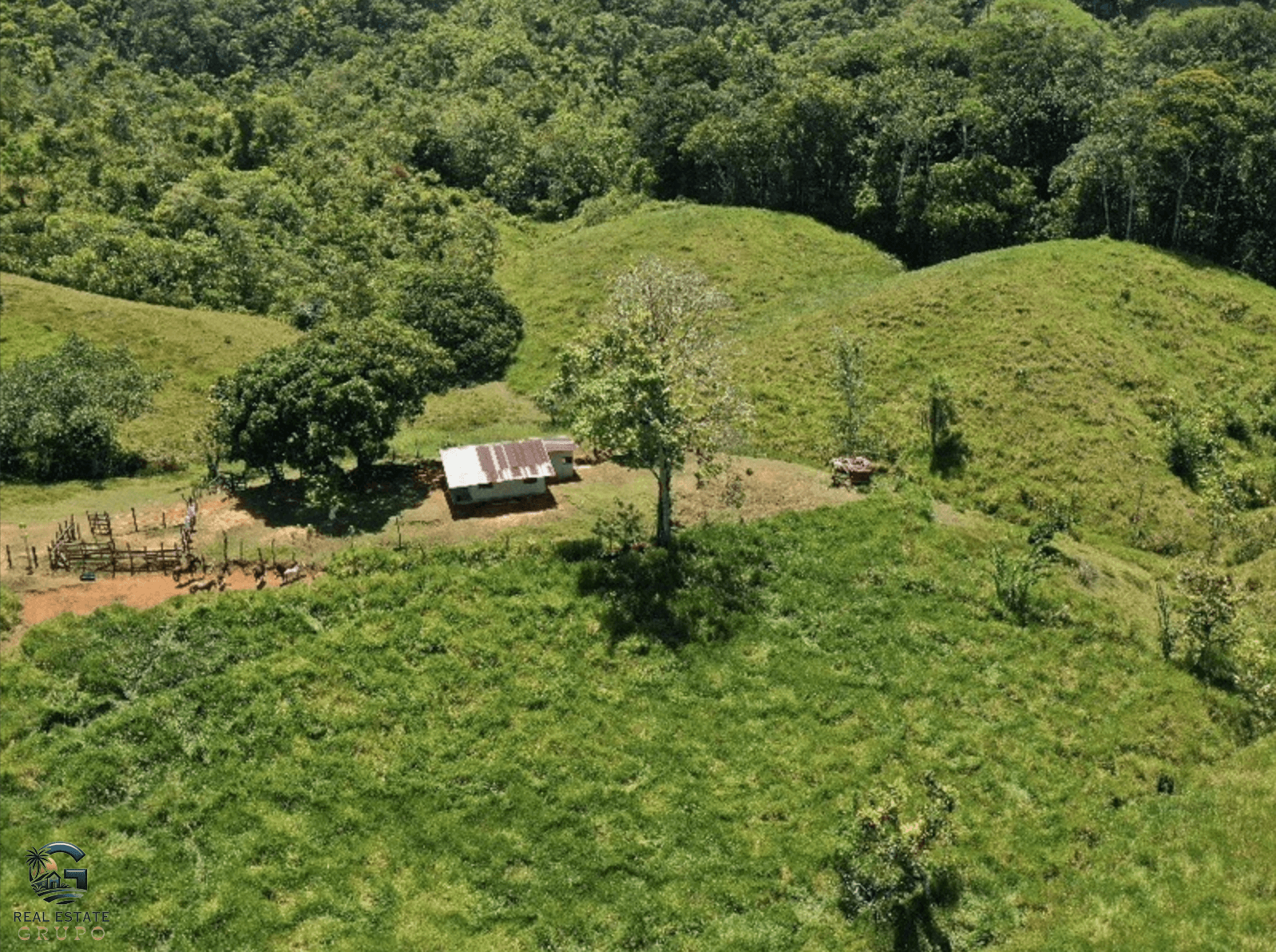 צילום מסך 2024-02-05 ב-15.10.31