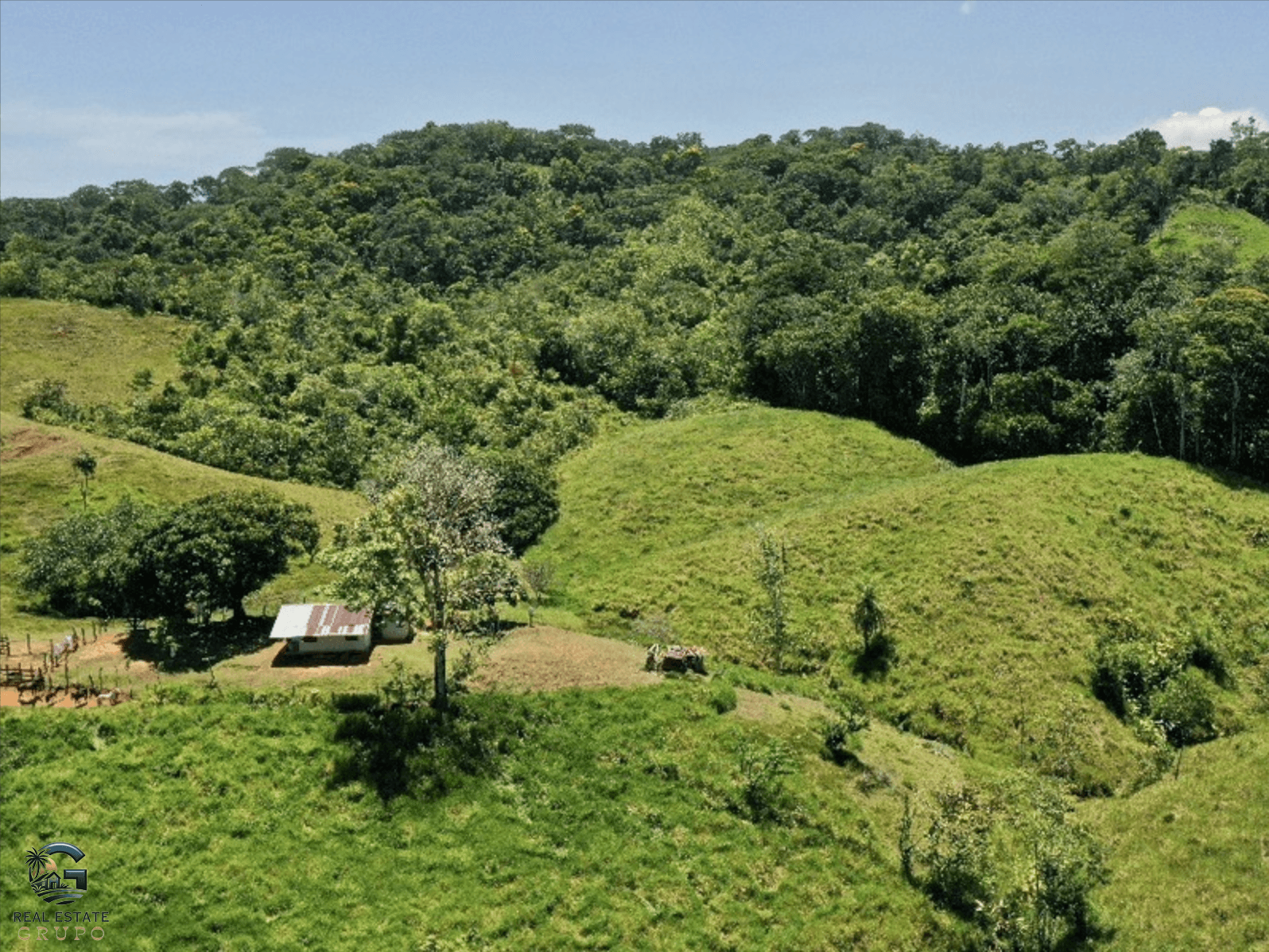 צילום מסך 2024-02-05 ב-15.10.36