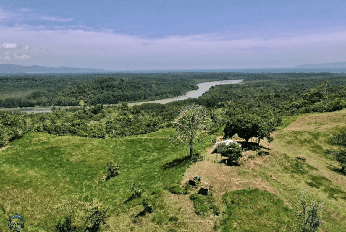 צילום מסך 2024-02-05 ב-15.10.42