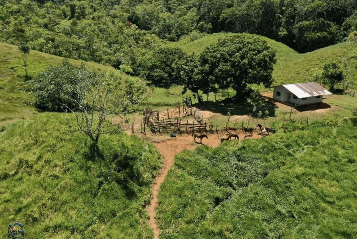 צילום מסך 2024-02-05 ב-15.10.46